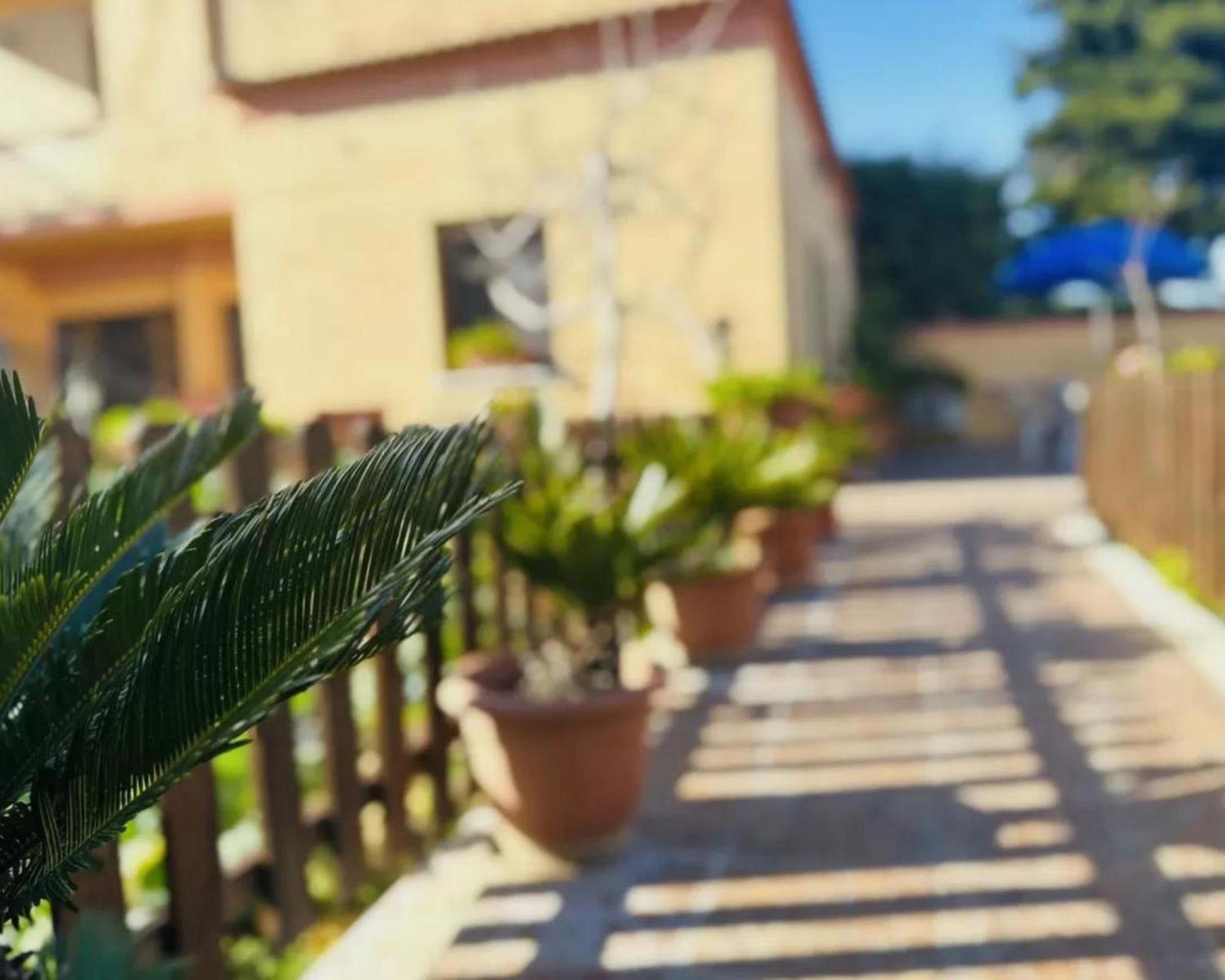 Romano House Фиумичино Екстериор снимка